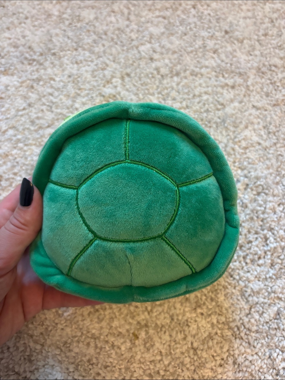 Mini turtle squishmallow - Picture 2 of 2